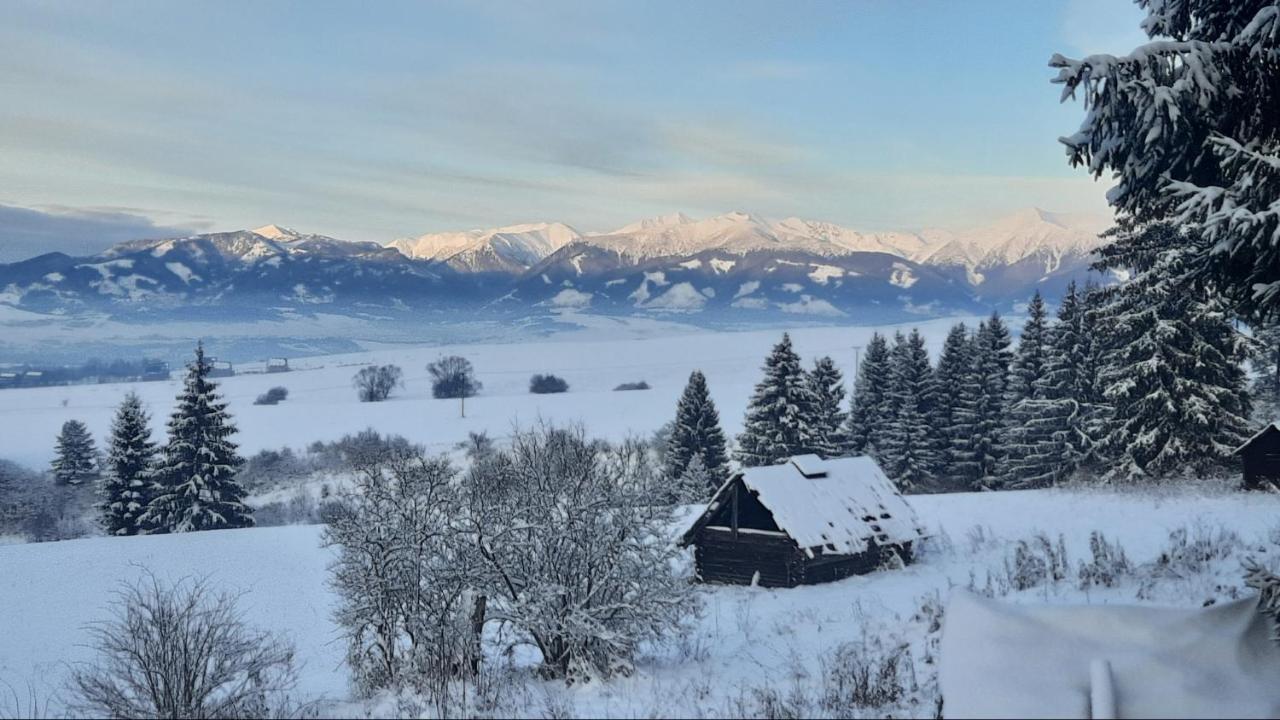 Drevenica Pod Demaenovskou Horou Villa Demanovska Dolina Exteriör bild