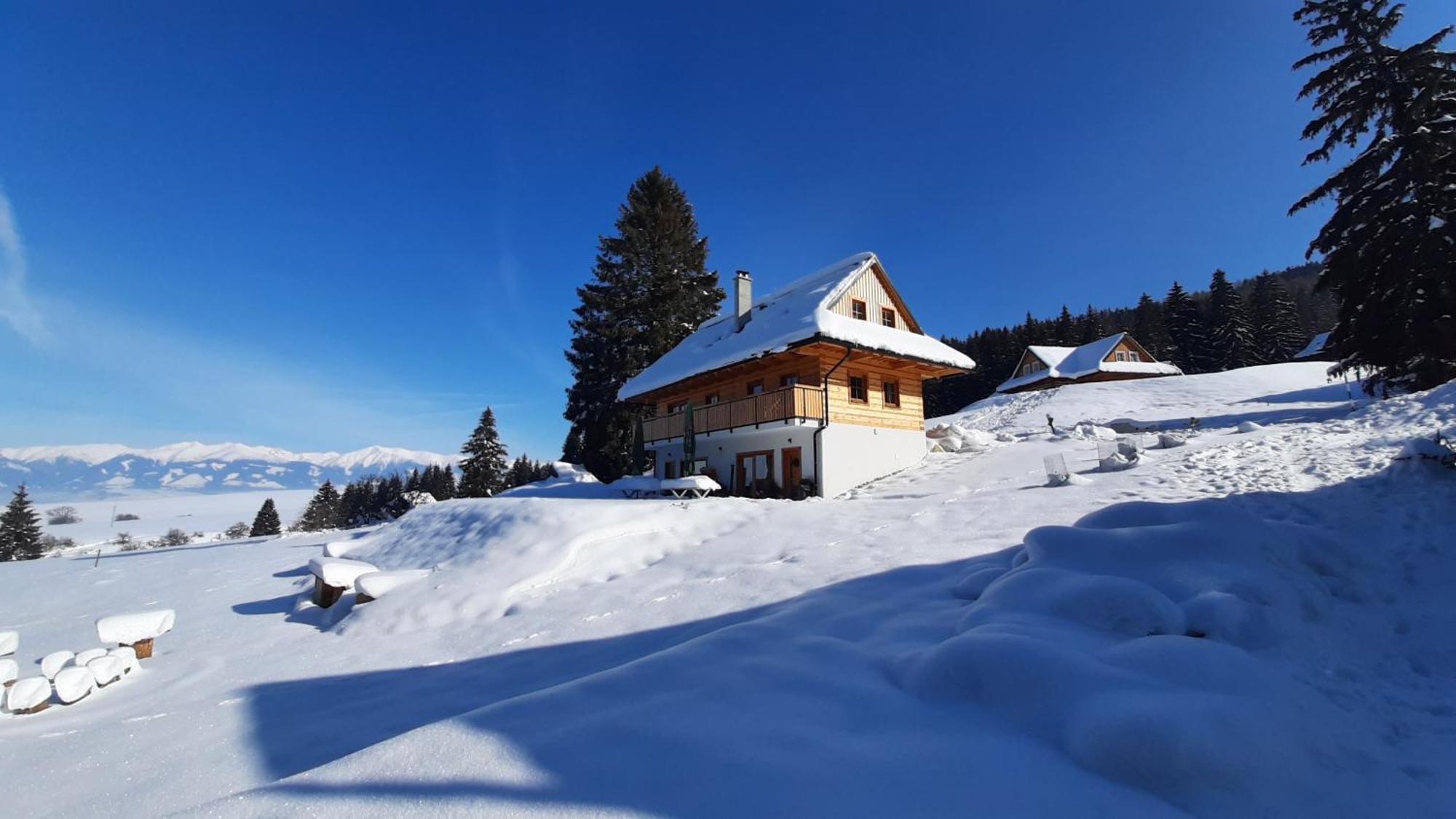 Drevenica Pod Demaenovskou Horou Villa Demanovska Dolina Exteriör bild